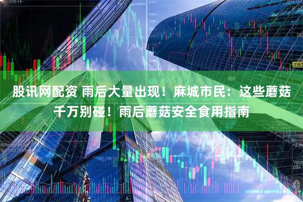 股讯网配资 雨后大量出现！麻城市民：这些蘑菇千万别碰！雨后蘑菇安全食用指南