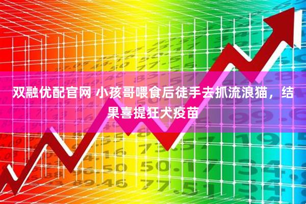 双融优配官网 小孩哥喂食后徒手去抓流浪猫，结果喜提狂犬疫苗